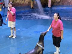 -烟台海昌鲸鲨海洋公园