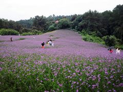 -保利石象湖景区