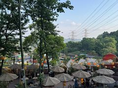 -伴山茶苑·围炉煮茶