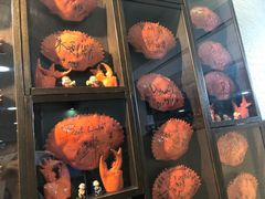 -龙海鲜螃蟹王(宏茂桥店)