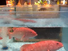 -阿伟海鲜楼·福建菜(延寿店)