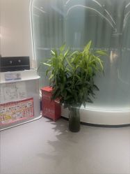 -联合丽格·张菡丽格医疗美容