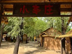 -微山湖红荷湿地景区