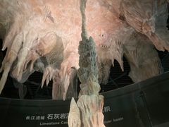-武汉园博园(武汉自然博物馆)