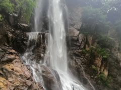 -陕西省红河谷森林公园