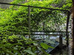 -西关84·History·Art·Cafe