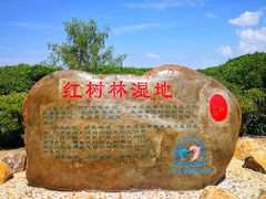 -霞山观海长廊