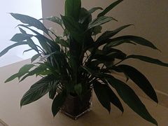 -樱蘭全息养生馆(三里屯店)
