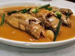 -华盛丰温州大排档(东三环南路店)