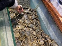 -川骄海鲜自助(河东店)