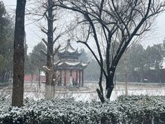 -洛阳白马寺