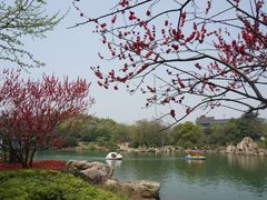 景点-白马涧龙池景区
