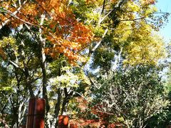 -七彩云南古滇温泉山庄