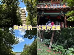 -灵谷景区