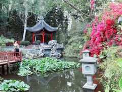 -深圳国际园林花卉博览园