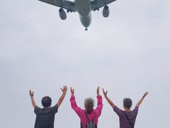 -空港花田景区