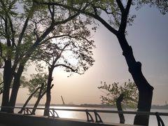 -人民防洪胜利纪念塔