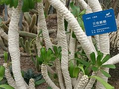 -南山植物园
