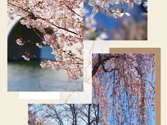 -三里河公园