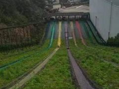 -梦幻奥陶纪景区