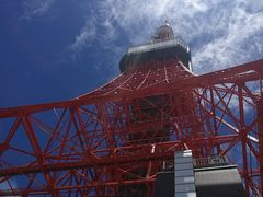 -东京塔海贼王主题公园
