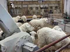 -OUR Bakery(SKP-S店)