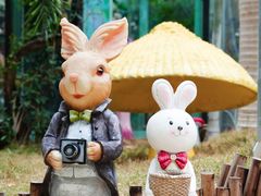 -正佳雨林生态植物园