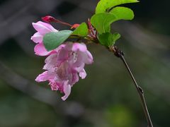 -共青国家森林公园-售票处