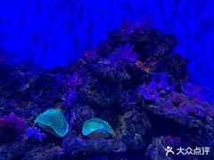 -大连圣亚海洋世界