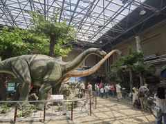 -国家自然博物馆