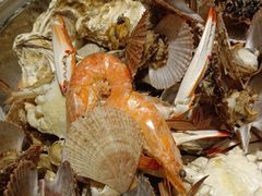 -和源祥·日照菜扛把子(万平口一店)