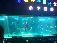 -泉城欧乐堡海洋极地世界