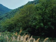 -雅鲁激流探险漂流
