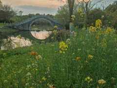 -瑶湖郊野森林公园