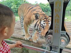 -西安秦岭野生动物园