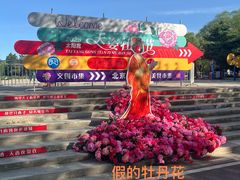 -太阳宫公园