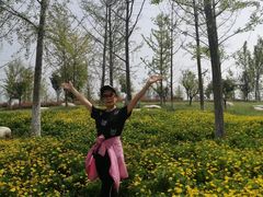 -汉长安城未央宫国家考古遗址公园