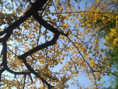 -四川大学(华西校区)