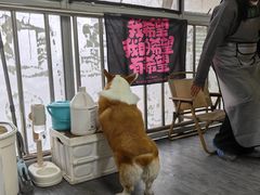 -汪说·狗咖(旺城大厦店)