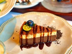 -一棵树·意大利西餐厅One Tree(新城店)