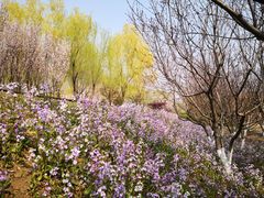 -永定河休闲森林公园