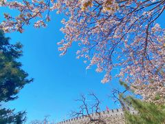 -北京明城墙遗址公园