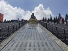 -龙口南山旅游景区