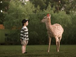 点击看大图 -Angel Fish photography 儿童摄影工作室(亚运村店)