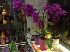 iphone_upload_pic-FEI FEI FLOWER鲜花店·气球派对·宝宝宴布置(虹口德必运动Loft店)