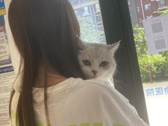 -宠颐生动物医院·心脏科·保险定点(锦阳分院)