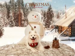 -海马体家庭照相馆(杭州萧山万象汇店)