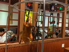 -京味民福烤鸭店(建设四马路店)