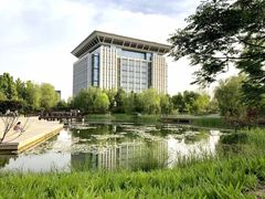 -河南财经政法大学(郑东校区)