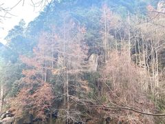 -丹山赤水风景名胜区